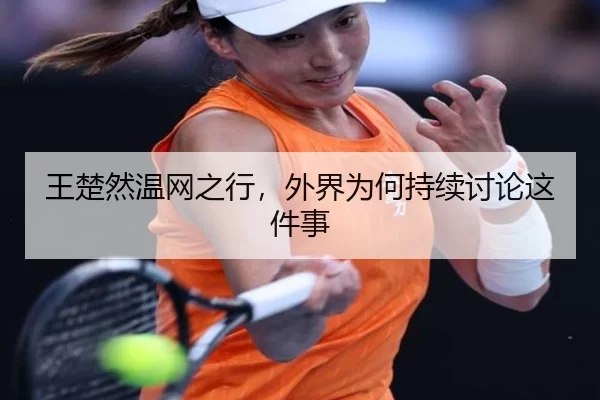 wang-chu-ran-wen-wang-zhi-xing-wai-jie-wei-he-chi-xu-tao-lun-zhe-jian-shi-2-333.jpg